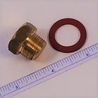 Drain Plug With Washer 1