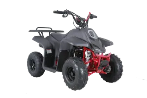 Tao Motor Rock 110 | 110Cc Kids Atv With Reverse 3