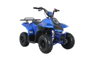 Tao Motor Rock 110 | 110Cc Kids Atv With Reverse 4