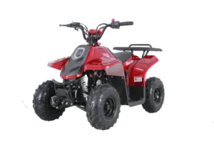Tao Motor Rock 110 | 110Cc Kids Atv With Reverse 5