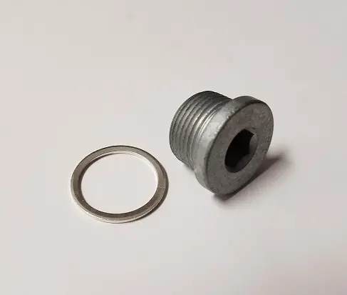 22011 Drain Plug W/Washer 1
