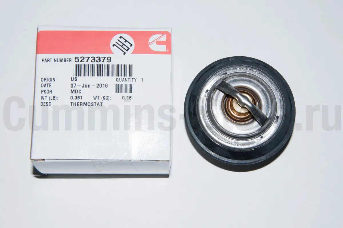 5273379 Thermostat 1