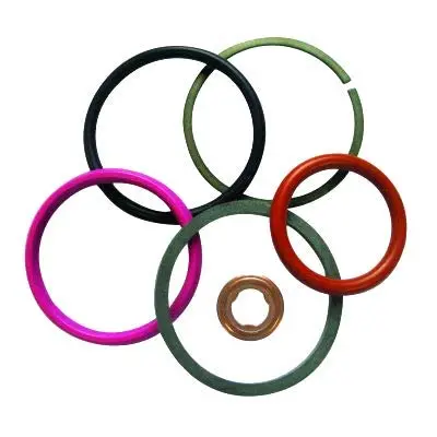 1830742C92 Injector Seal Kit 1