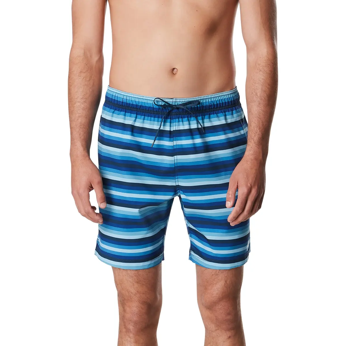 Speedo Men's Pipeline Volley 18" Swim Short 2