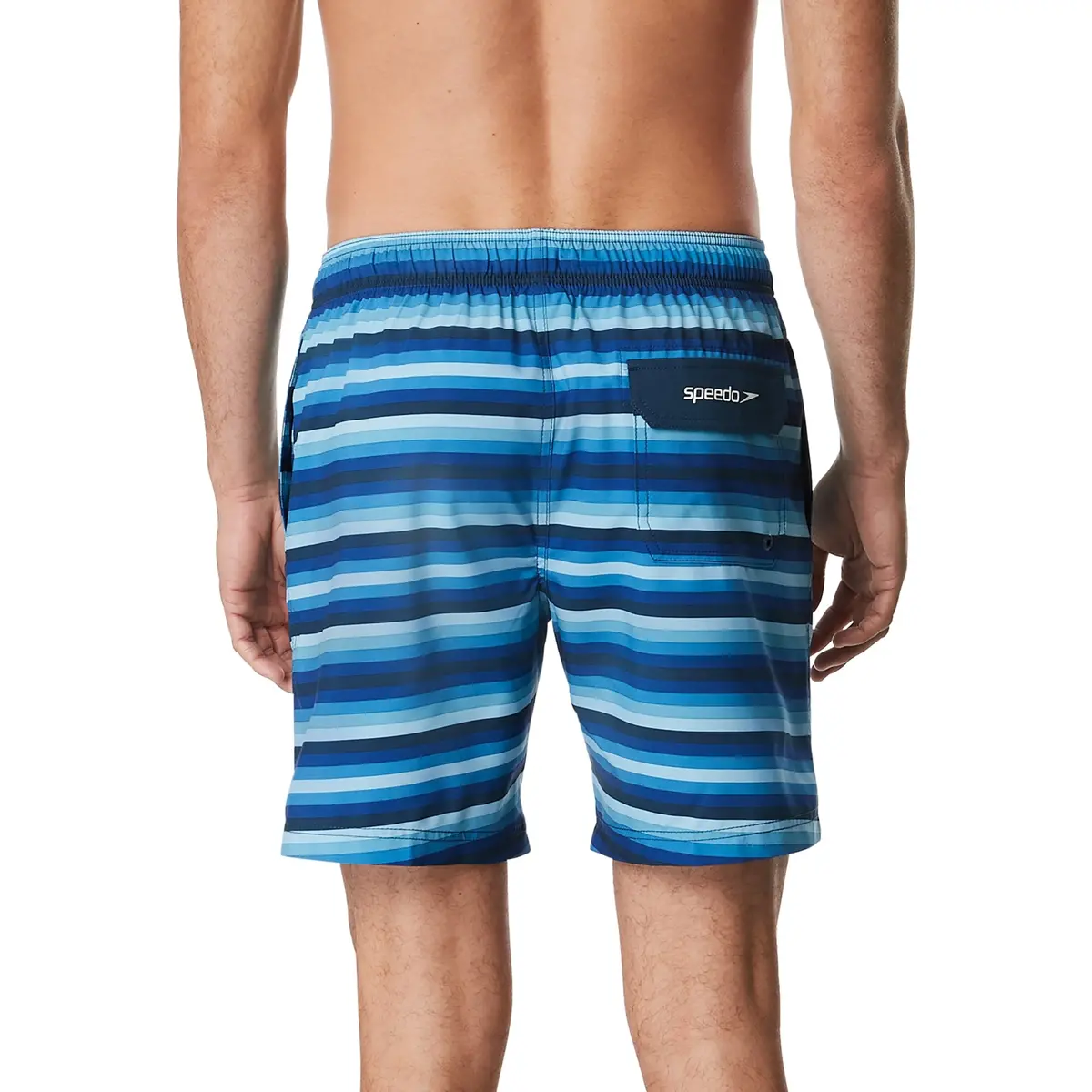 Speedo Men's Pipeline Volley 18" Swim Short 2