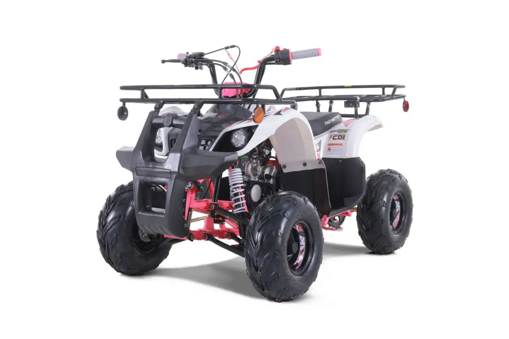 Tao Motor D125 | 110Cc Youth Utility Atv 3
