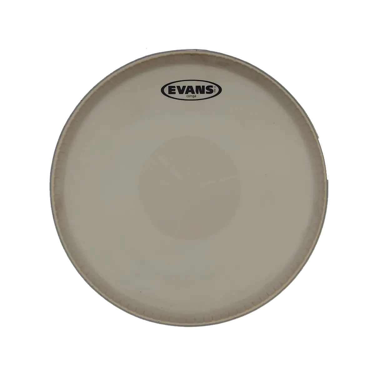 Evans 12.5" Tri-Center Conga Head Ec1250 1