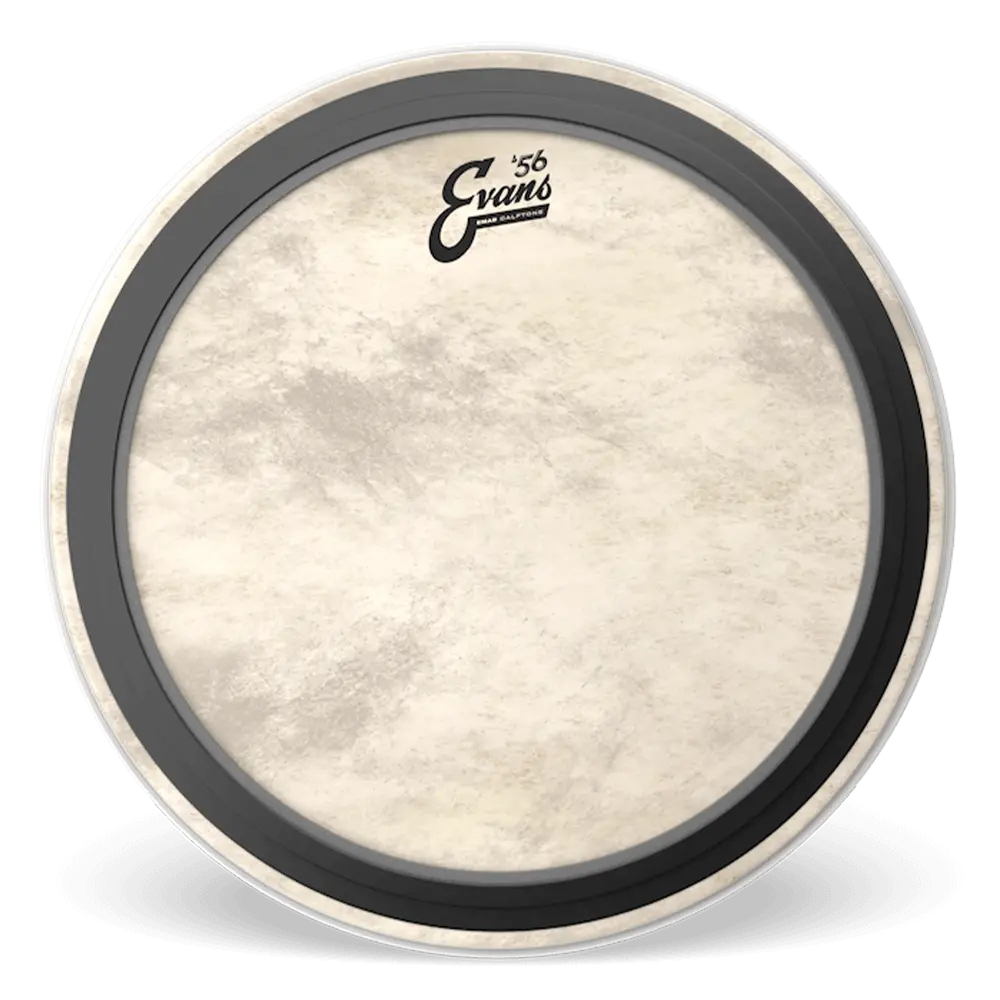 Evans Emad Calftone Bass Batter 1