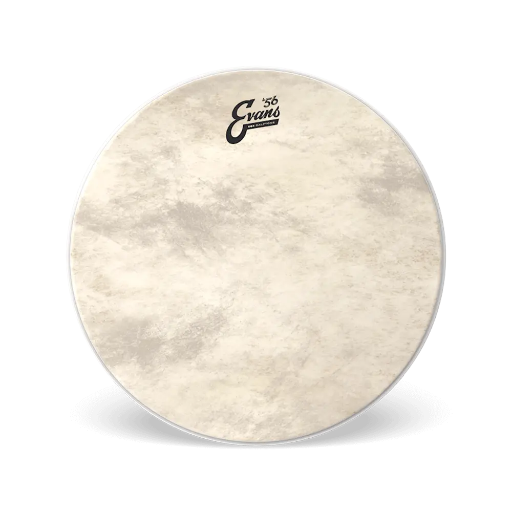 Evans Eq4 Calftone Bass Batter 1
