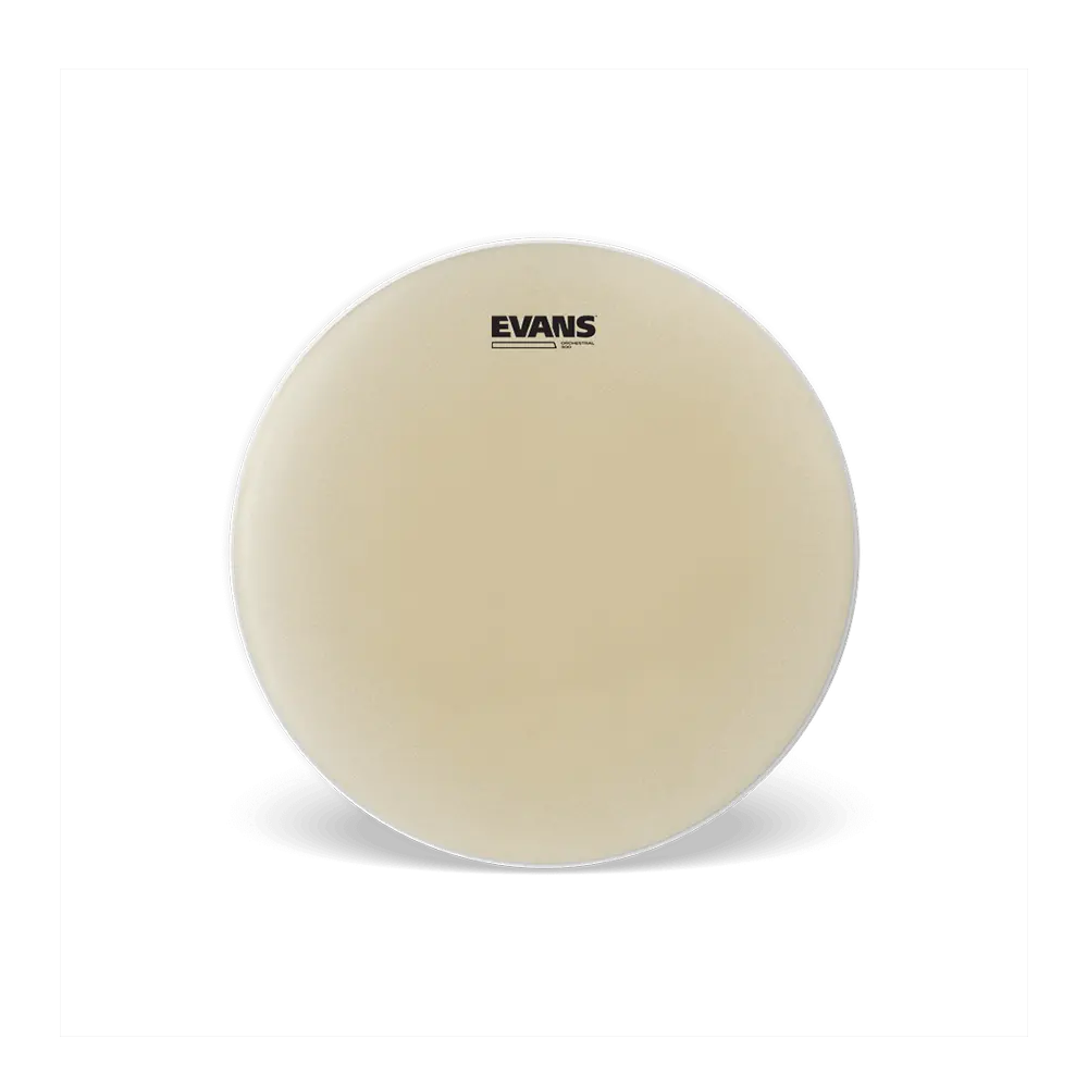 Evans Orchestra 300  Snare Side (Symphonic) 14" 1
