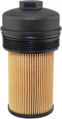 P7436 Oil Filter W/Cap 1