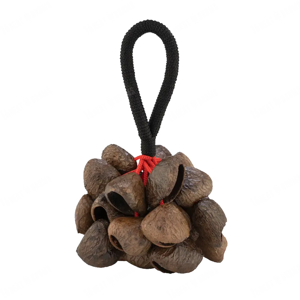 Pearl Pangi Nut Shaker With Rope Handle Pbpgrh14 1