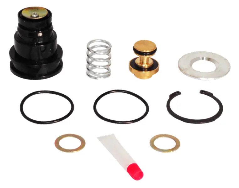 R950014 Purge Valve Kit 1