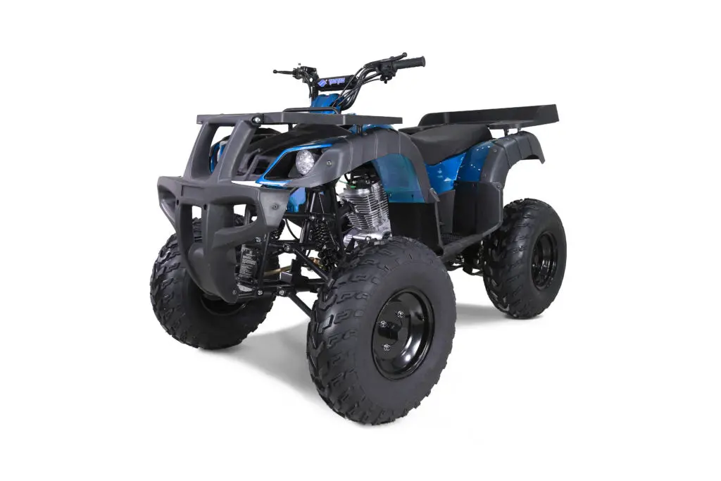 Tao Motor Rhino 250 | 200Cc Utility Atv 1