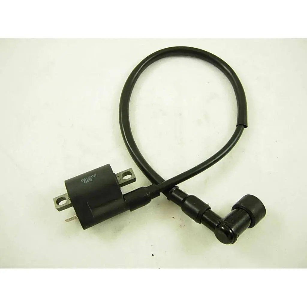 Rhino 250 Ignition Coil 1