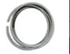 Raptor200 Piston Rings 1