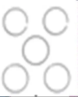 50Cc Piston Rings 1