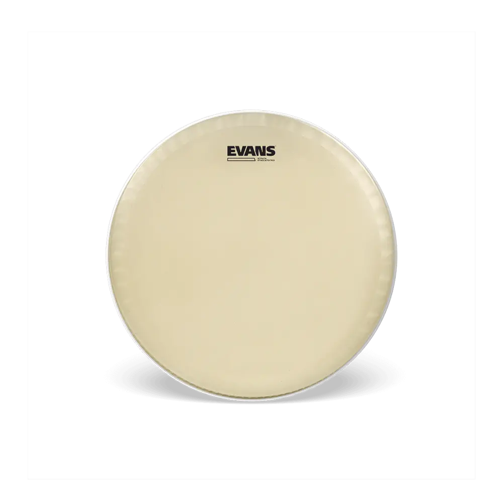 Evans Strata 700 Staccato (Symphonic) 14" Snare Batter 1