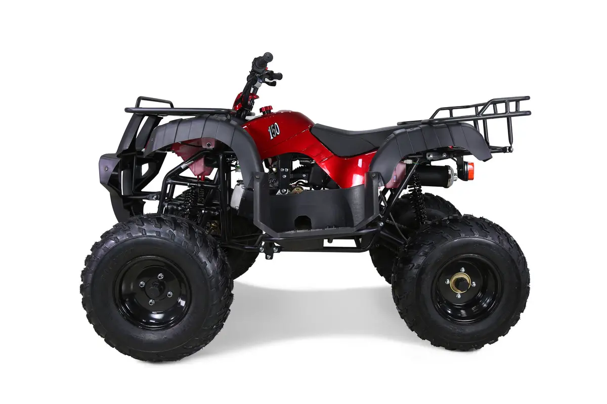 Tao Motor Bull 150 | 150Cc Utility Atv 3