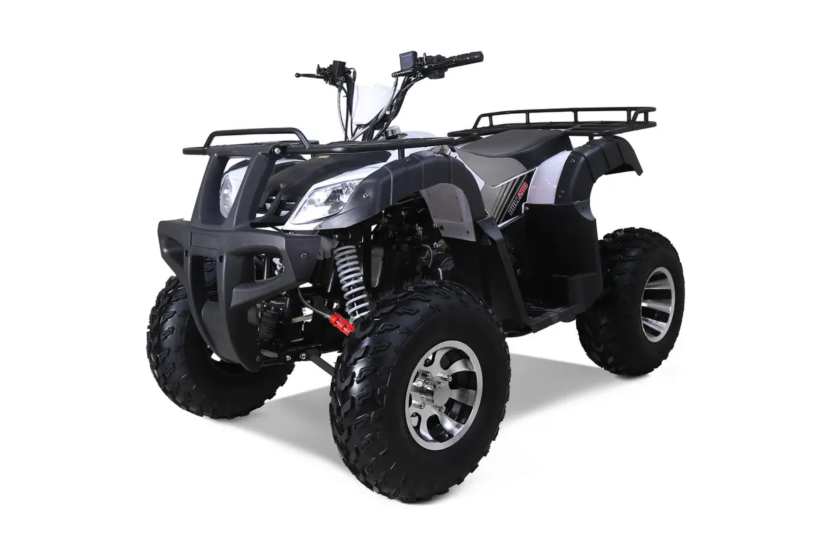Tao Motor Bull 200S | 200Cc Utility Atv 1