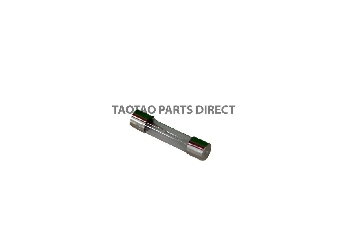 10Ah Glass Fuse 1