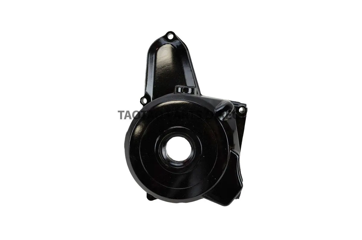 125Cc Stator Magneto Cover 1