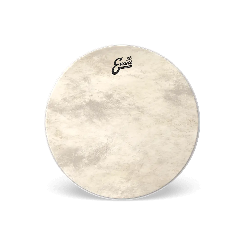 Evans Calftone Bass Batter 16" 1
