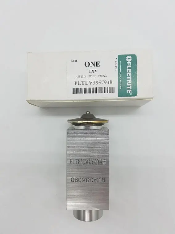 1690 Expansion Valve 1