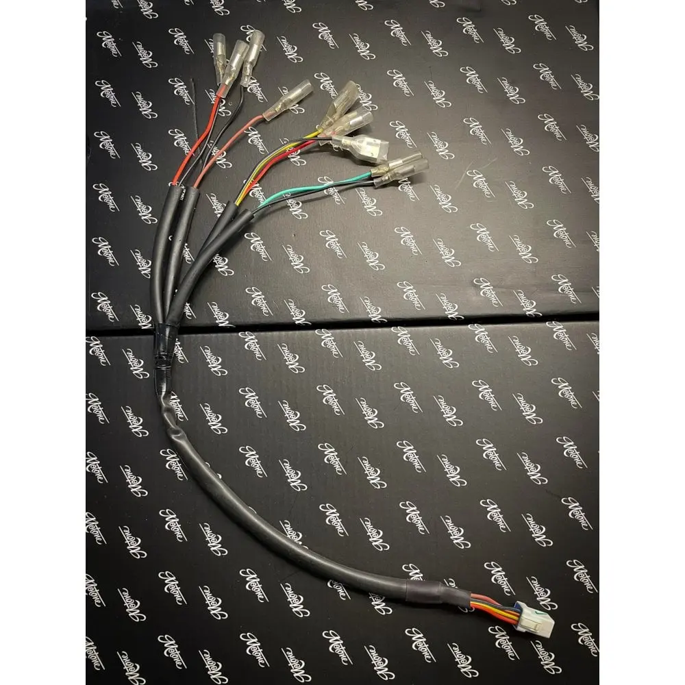 Motone Rear Wiring Loom Plug & Play - Bobber Scrambler 1200 Speed Master 1