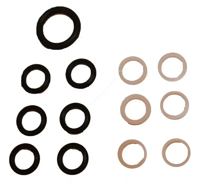 1842626C96 Hp Oil Rail Seal Kit 1