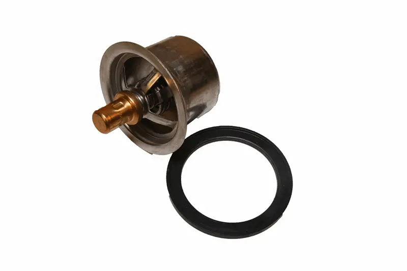 4318947 Thermostat Isx, Qsx 1