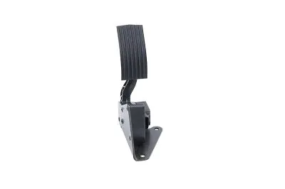 2606-578-C Accelerator Pedal Kit 2