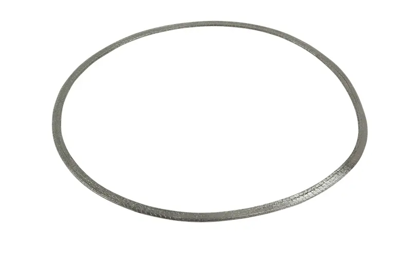 2871453 Diesel Particulate Filter Gasket 1