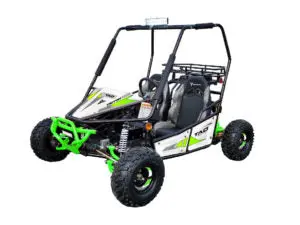Tao Motor Triton | 125Cc Go Kart 1